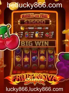 Tudo Sobre FruitNovaSuper: Uma Experiência de Jogo Única em Lucky866