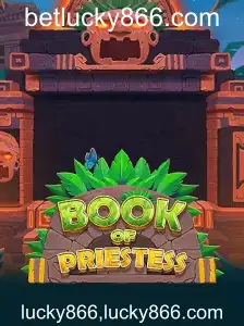 Explorando o Mundo Místico de BookOfPriestess